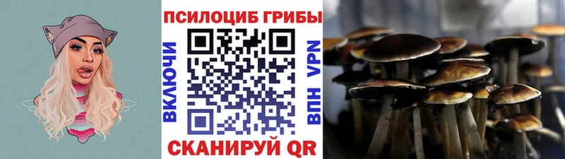 Галлюциногенные грибы Psilocybine cubensis Ишим