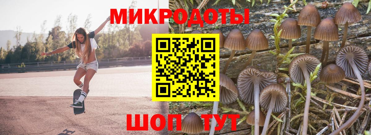 Ишим  Галлюциногенные грибы Psilocybe  Вход с VPN 